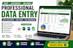 do accurate data entry, excel data entry, copy paste and PDF to excel