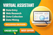 data cleaning, data entry