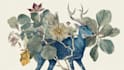 draw an animal and botanical illustration