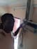 provide expert electrical troubleshooting and DIY guidance