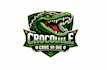 design high quality crocodile mascot logo with t shirt design