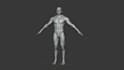 do 3d rigging 3d game character rigging facial rigging, mocap and animation mmd