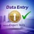 do detailed data entry typing and online research work