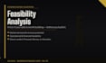 conduct a professional business feasibility analysis for your idea