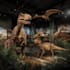 draw dinosaurs and animals illustrations