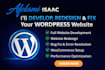 fix errors, speed up and optimize your wordpress site professionally