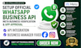 fix meta business verification, setup whatsapp cloud api and domain verify