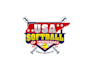 create professional and specially softball  logo design