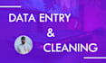 excel data entry and excel data cleaning, data cleanup