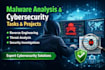 do malware analysis and reverse engineering with reporting