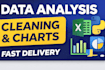 do data analysis, data cleaning and visualization in python