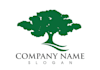 design a pine tree logo