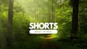 creatively edit your facebook reel, youtube short, tik tok