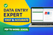 do fast data entry  excel work  copy paste  PDF to word and typing work