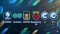 design and build embedded microcontroller based systems