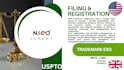 respond to uspto trademark office action, refusal, objection and office action