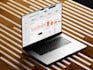 software developer, web app, pos, mlm, crm, erp, credit repair, saas app, bubble