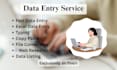 do data entry, mockup design and website testing
