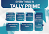fix errors and organize your tally erp accounts