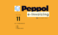 build ubl XML e invoicing integration and compliance peppol