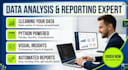 deliver expert python data analysis and executive reporting
