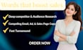 do professional sales copywriting using aida and pas