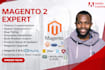 fix bugs, customize, develop and install magento websites professionally
