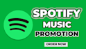 promote your music with professional playlist placement and meta ads
