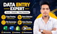data clean, excel data
