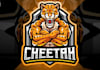 create cheetah mascot logo design with 1 day delivery