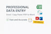 do accurate data entry, excel, copy paste and PDF to word conversion