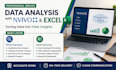 professional data analysis and research support with nvivo