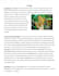 write, summarize and translate english and german texts
