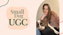 create authentic small dog ugc video ads
