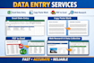 professional data entry expert