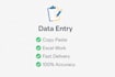 professional data entry and typing services