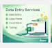 data entry fast data copy paste pdf excel