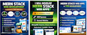 develop mern stack web apps, ecommerce and CRM systems