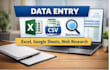 do accurate data entry and ms office tasks