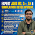 do c cpp c sharp java app and plugin development