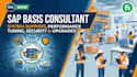 sap basis and security consultant