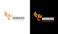 do professional logo designing