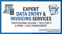 do professional invoice processing and data entry in excel