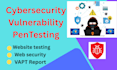 do website security testing and cybersecurity vapt