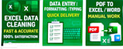 excel data cleaning, formatting and organize your data