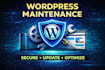 do wordpress website maintenance and support