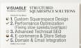 design a professional squarespace website and technical optimization