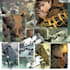 draw special comic illustration or graphic novel