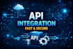do api integration and api development