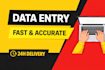 do accurate data entry fast and professionally